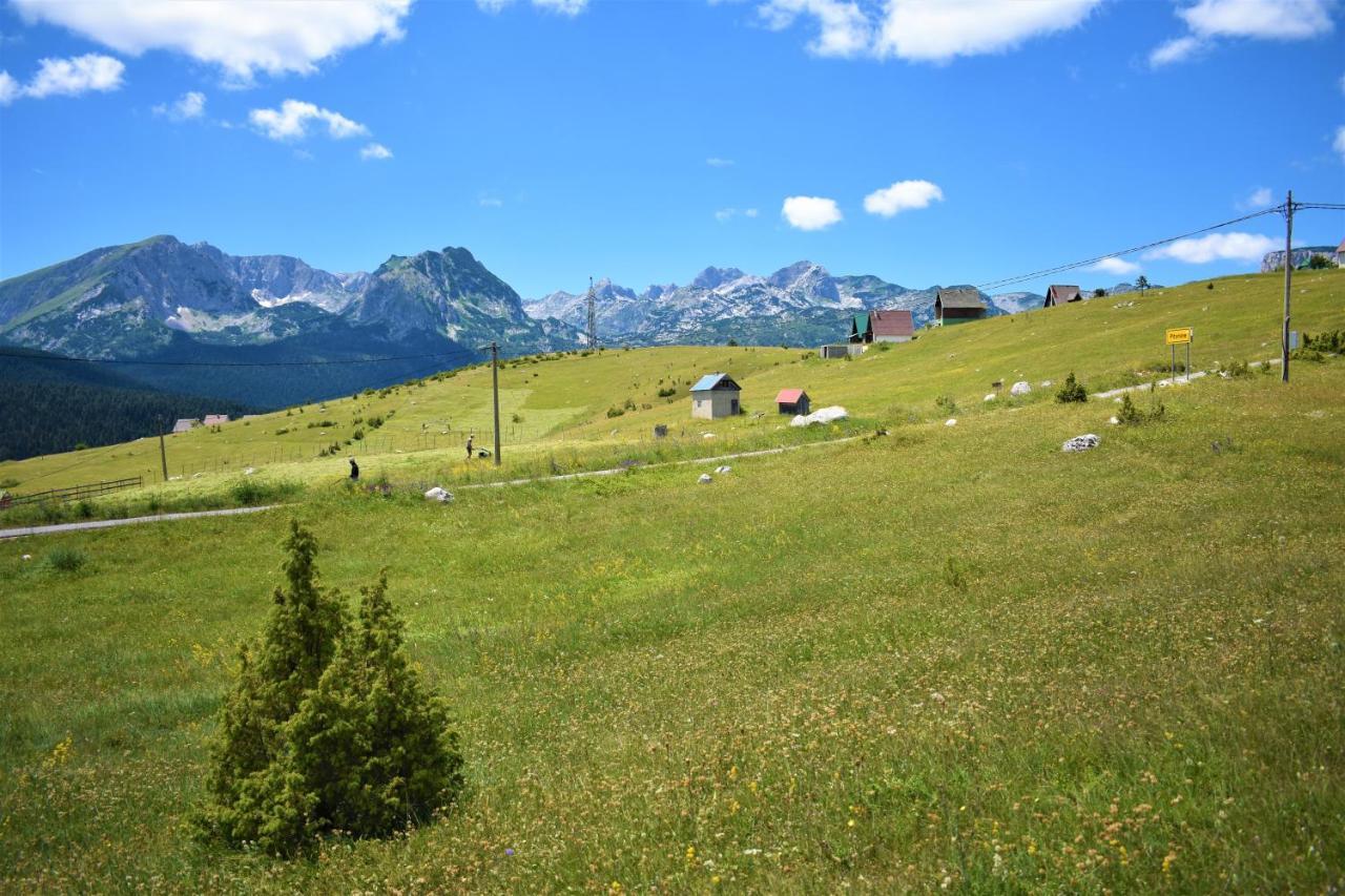 הוילה זבליאק Durmitor View מראה חיצוני תמונה